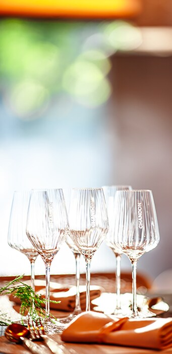 6 Bottles + Glassware Gift Set 